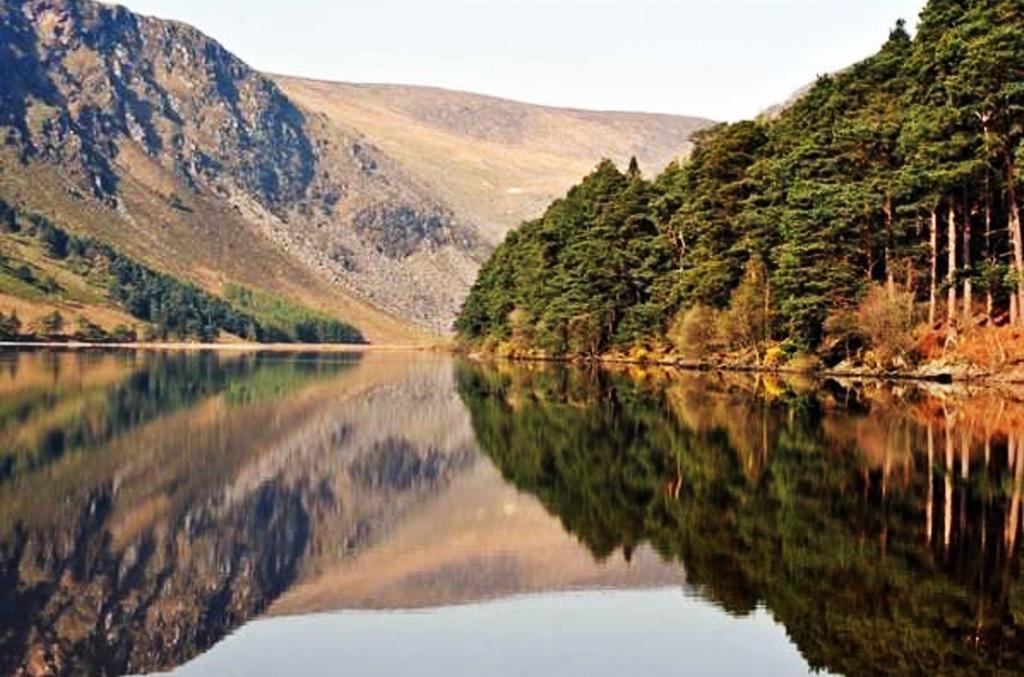 Lakeview Lodge B&B Blessington Δωμάτιο φωτογραφία